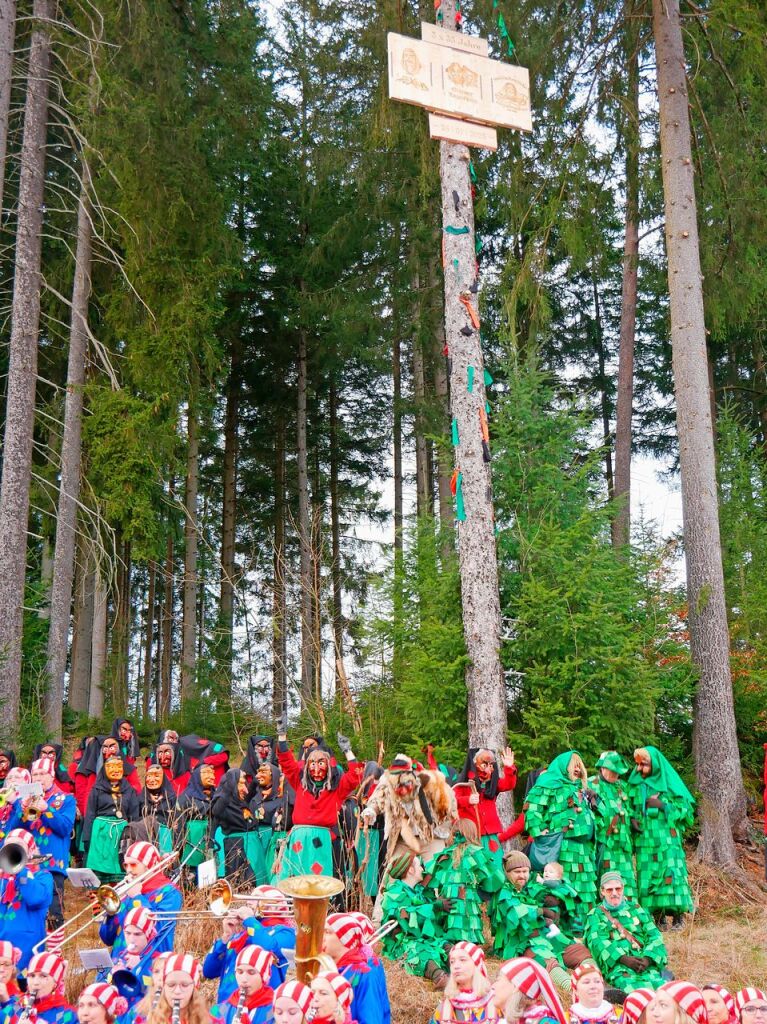 Die Jubiznfte unter ihrem nachhaltigen Narrenbaum. Im Vordergrund Stadtmusik und Spielmannszug.