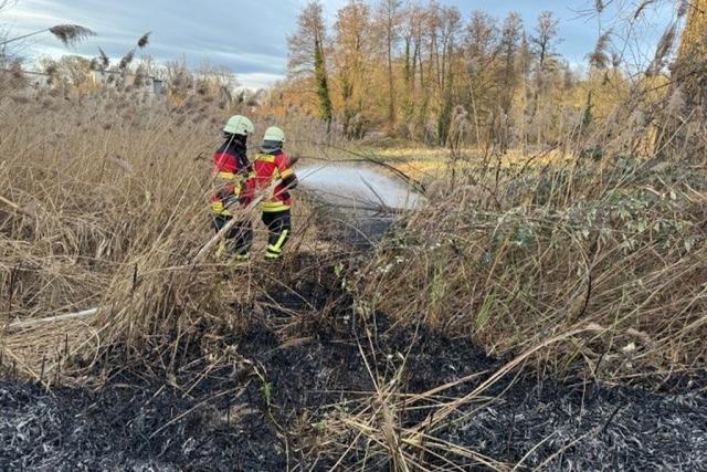 Schilfgras hat in Hugstetten Feuer gefangen - 80 Quadratmeter sind abgebrannt