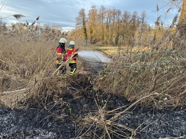 Die Marcher Feuerwehr war auf einem Schilffeld im Einsatz.  | Foto: Feuerwehr March