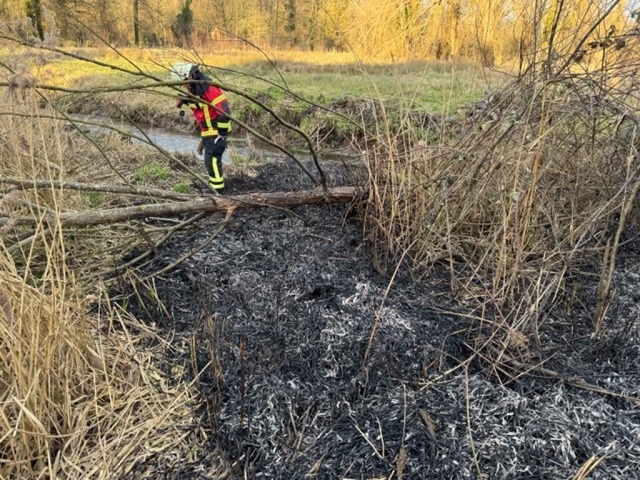 Die Marcher Feuerwehr war auf einem Schilffeld im Einsatz.  | Foto: Feuerwehr March