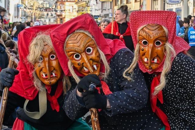 Fotos: So bunt war es beim Umzug in der Lahrer Innenstadt