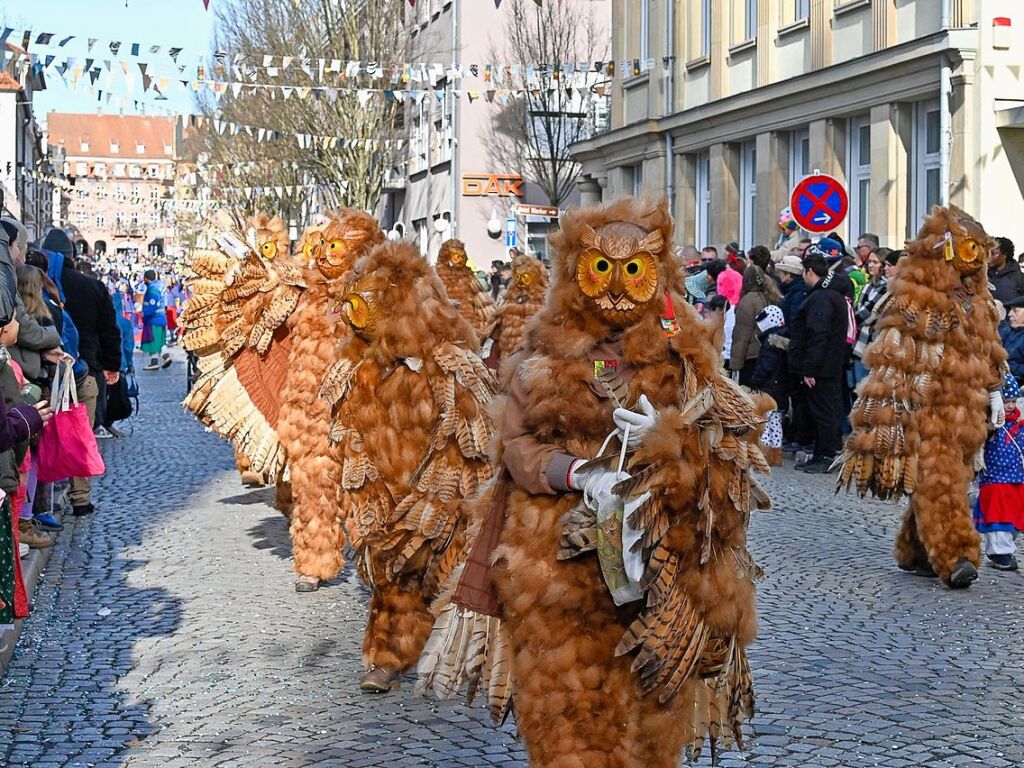 Zahlreiche Hstrger zogen am Sonntag durch die Lahrer Innenstadt. Die Besucher verfolgten das Treiben gut gelaunt.