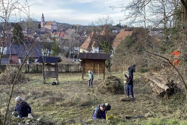 Naturlehrpfad erstrahlt in neuem Glanz