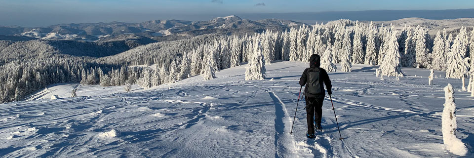 So gefhrlich kann der Schwarzwald fr Winter-Wanderer sein