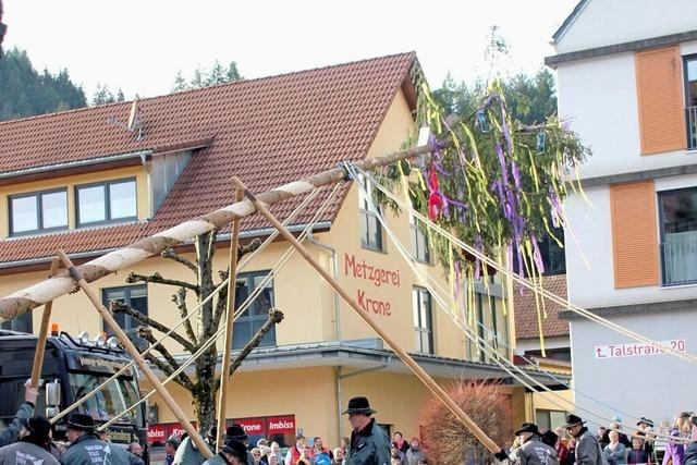 Der Schnauer Narrenbaum steht nach nur 22 Minuten