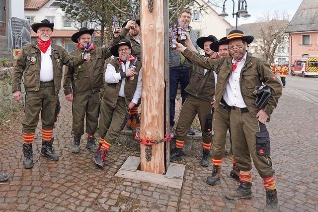 Schwitzen beim Fllen und Stellen: Der Narrenbaum in Grwihl steht