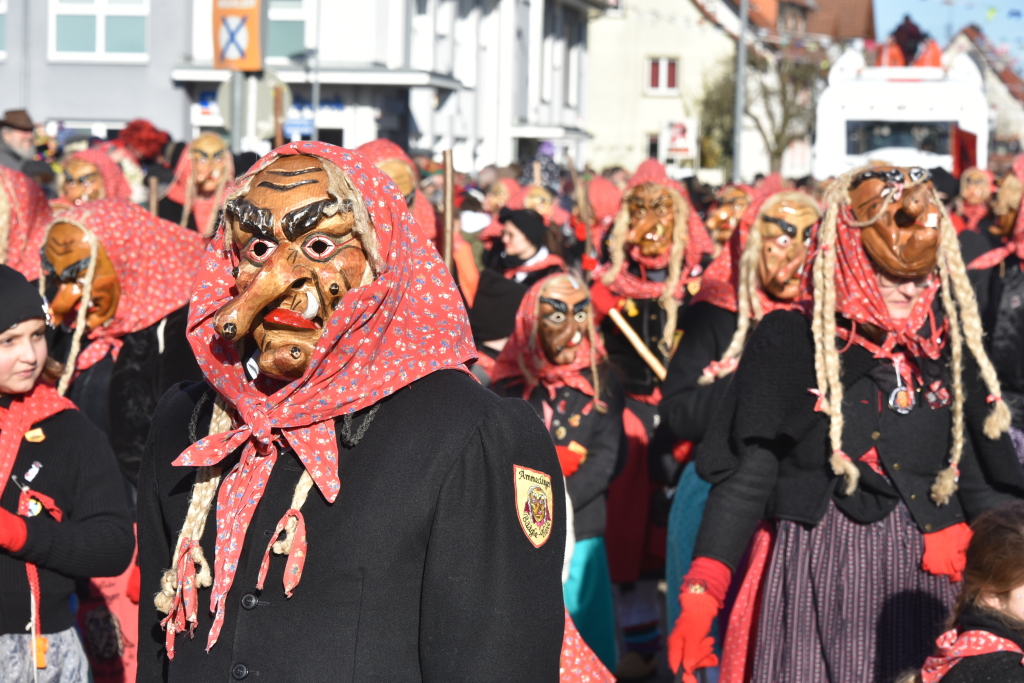 Mit lautem Narri Narro gratulierten zahlreiche Znfte und Gruppen den Freimter Wurzelgeistern zum 33. Geburtstag.