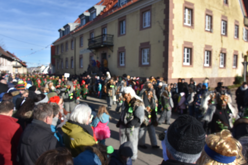 Mit lautem Narri Narro gratulierten zahlreiche Znfte und Gruppen den Freimter Wurzelgeistern zum 33. Geburtstag.