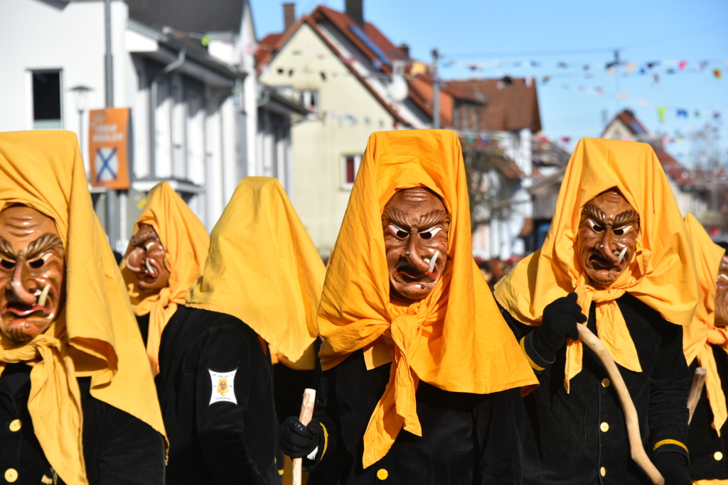 Mit lautem Narri Narro gratulierten zahlreiche Znfte und Gruppen den Freimter Wurzelgeistern zum 33. Geburtstag.