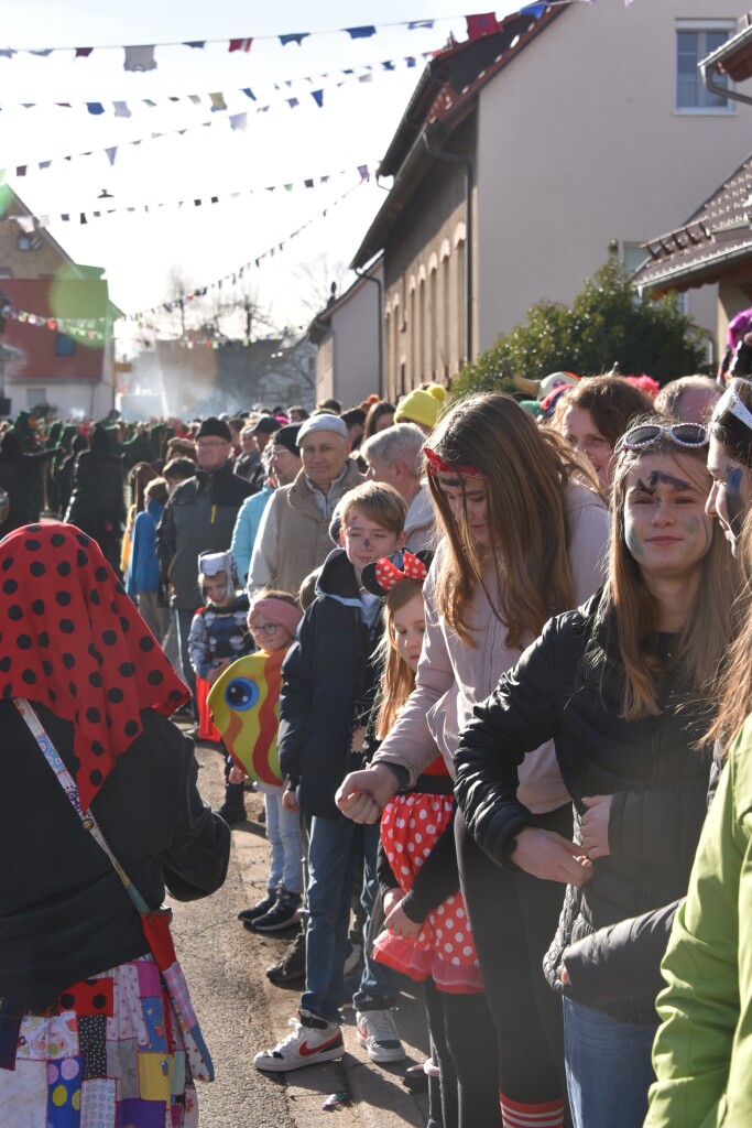 Mit lautem Narri Narro gratulierten zahlreiche Znfte und Gruppen den Freimter Wurzelgeistern zum 33. Geburtstag.