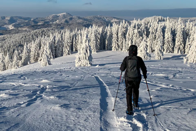 Der Schwarzwald kann fr Winter-Wanderer gefhrlich sein