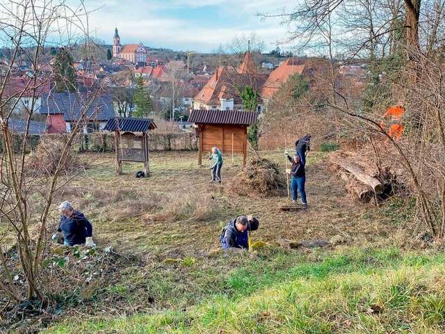 Zahlreiche Helfer packten krftig mit ...turlehrpfad wieder begehbar zu machen.  | Foto: Bertold Obergfll