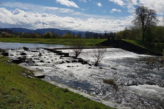 Gelbes Licht fr zwei Fischtreppen in Simonswald