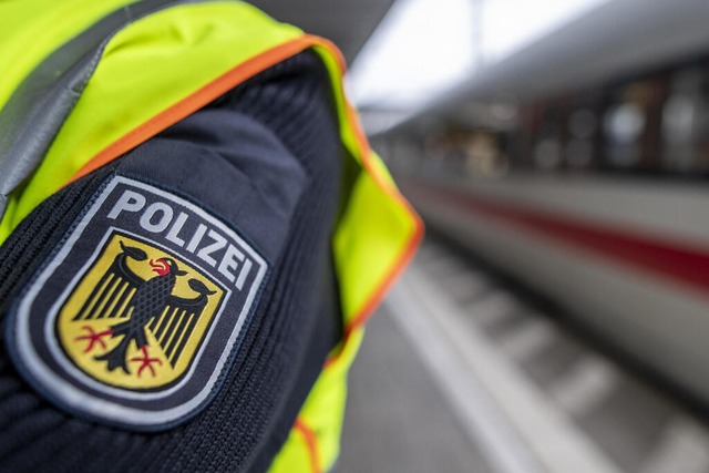 Die Bundespolizei verhaftete am Badischen Bahnhof einen mutmalichen Dieb.  | Foto: Patrick Seeger (dpa)