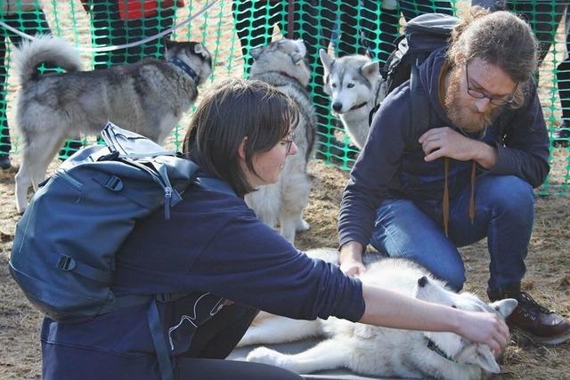 Fotos: Husky-Camp statt Schlittenhunderennen in Todtmoos