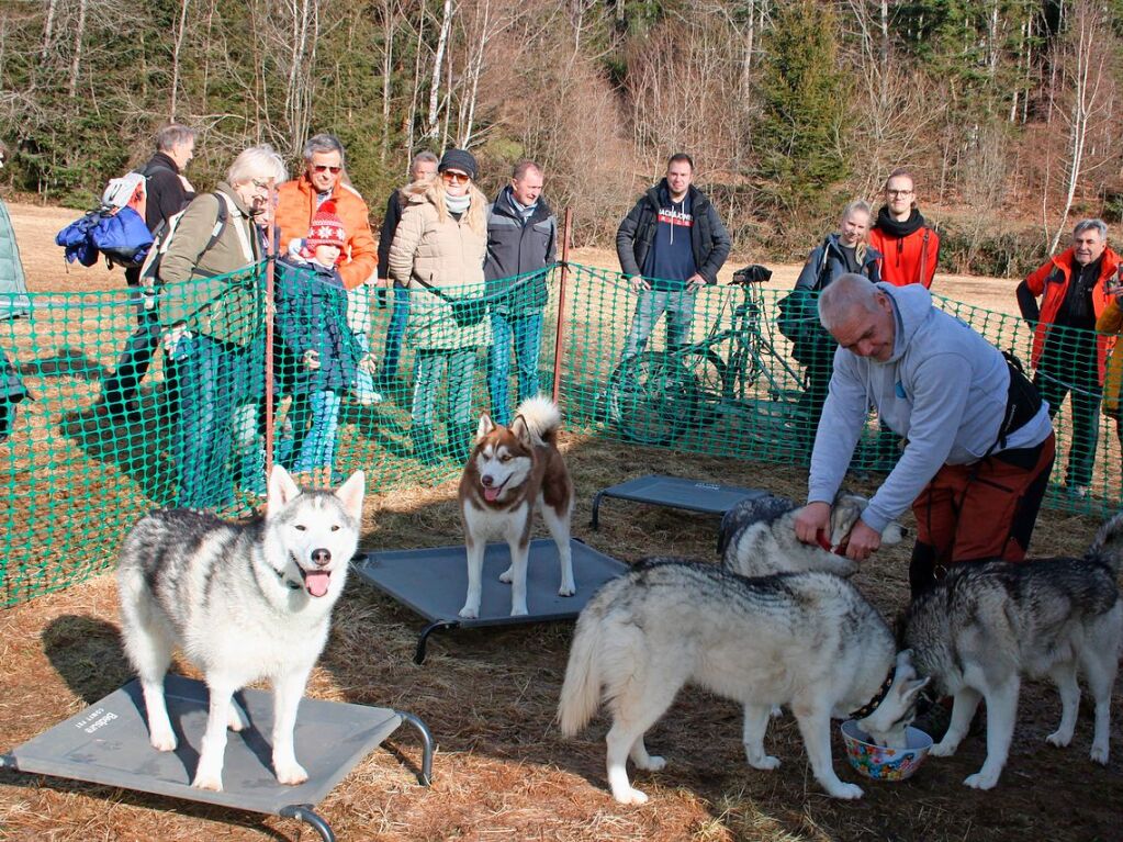 Alles rund um den Schlittenhundesport erfuhren die Besucher im Husky-Camp.