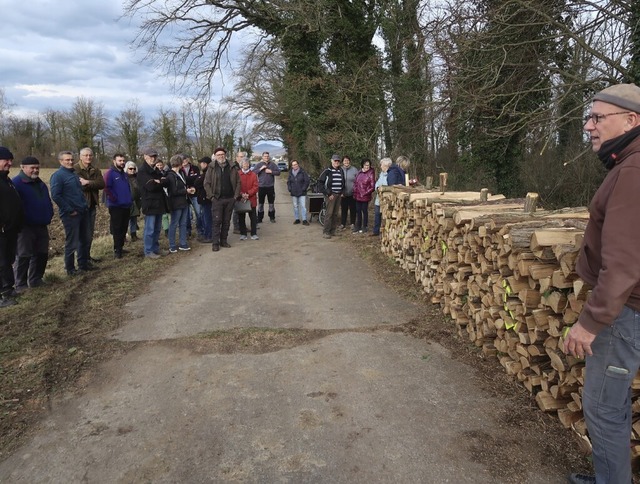 Bei der Holzversteigerung in Gndlinge...tgebot von 60 Euro pro Ster Brennholz.  | Foto: Christine Weirich