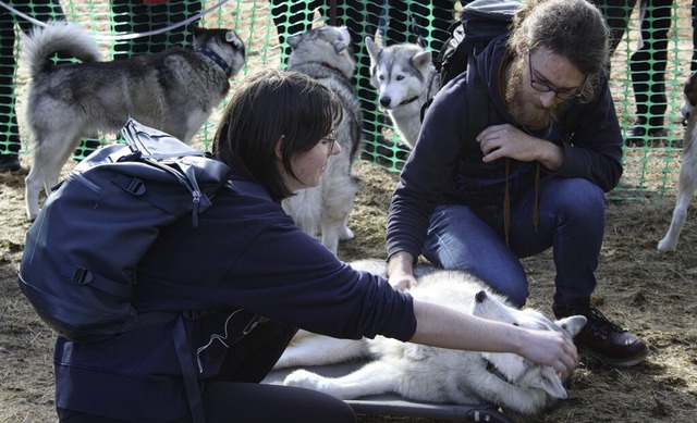 Kuscheln mit den Hunden war im Husky-Camp ausdrcklich erlaubt.   | Foto: Andreas Bhm