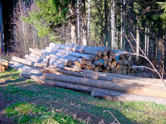 Borkenkferholz bestimmt den Holzeinschlag im Wald der Gemeinde  Husern.  | Foto: PDH