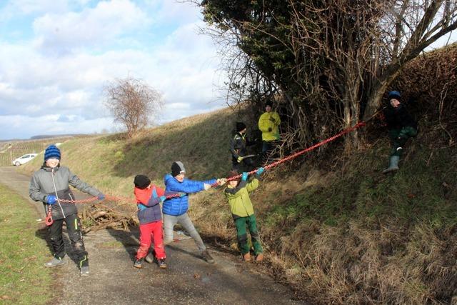 In Binzen werden wieder die Bschungen gepflegt – Freiwillige sind willkommen