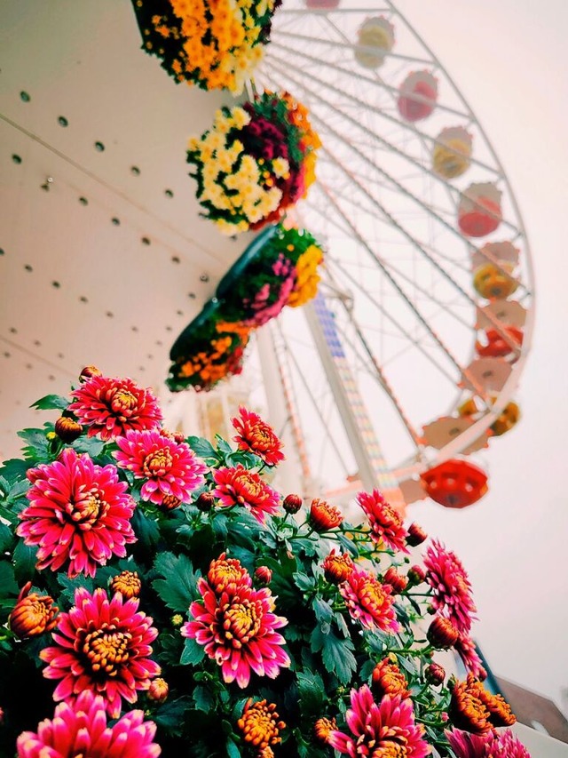 Jasmin Schwarz richtete den Fokus auf die Blumen vor dem Riesenrad  | Foto: Jasmin Schwartz