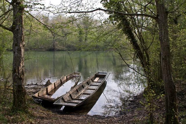 CDU-Fraktion macht geplante knstliche Flutungen im Rheinwald erneut zum Thema im Landtag