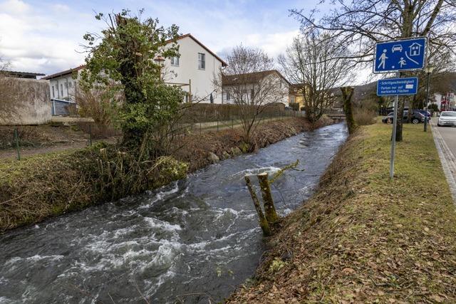 Warum am Maulburger Gewerbekanal 27 Bsche und Bume abgeholzt wurden