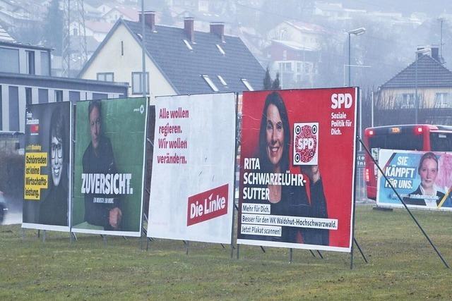 Alle Direktkandidaten im Wahlkreis Waldshut sind zugelassen