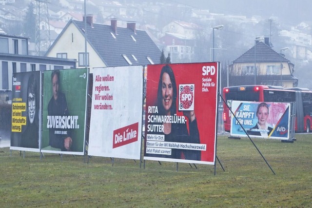 Der Wahlkampf fr die Bundestagswahl a...e hier in der Waldshuter Liedermatte.   | Foto:  Melanie Vlk/Markus Baier