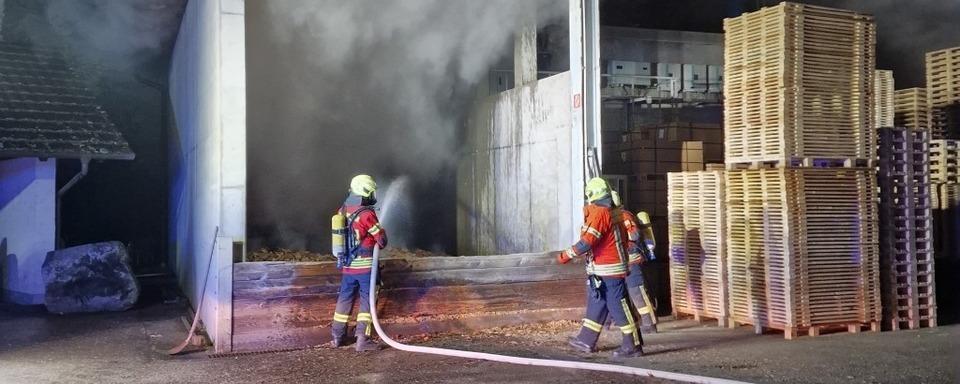 Hackschnitzelanlage im Gottenheimer Sgewerk Meier fngt Feuer