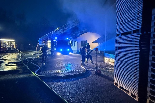 Die Feuerwehr Gottenheim bei ihrem Ein...Hackschnitzelanlage im Sgewerk Meier.  | Foto: Feuerwehr Gottenheim