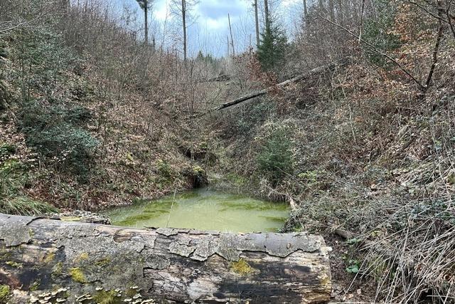 Mit Tmpeln gegen Drre und Hochwasser