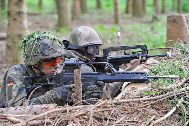 Landesverteidigung sieht Hoppe als Aufgabe weit ber die Armee hinaus.  | Foto: Volker Mnch