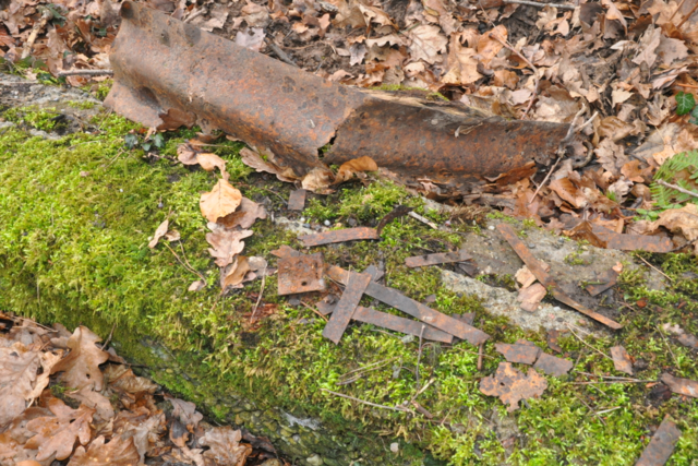 Loste Place: Das Munitionslager in Denzlingen birgt ein Geheimnis im Wald