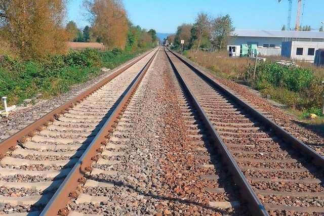 Die Hochrheinstrecke zwischen Rheinfelden-Herten und Grenzach-Wyhlen   | Foto: Daniel Gramespacher