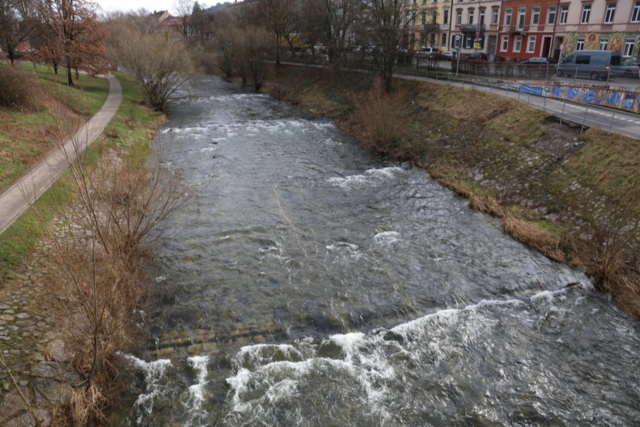 Warum eigentlich ist Eisbaden in der Dreisam verboten?