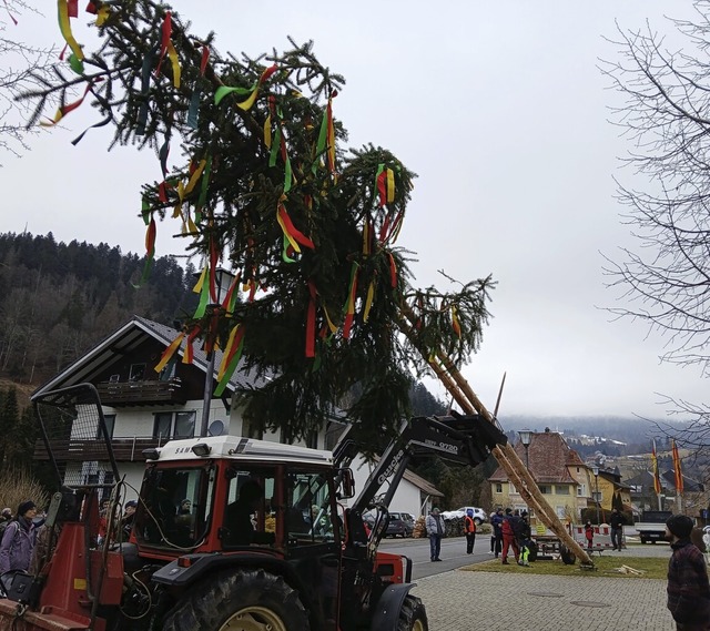 Der Todtmooser Narrenbaum besteht aus glich zwei Stmmen  | Foto: Andreas Bhm