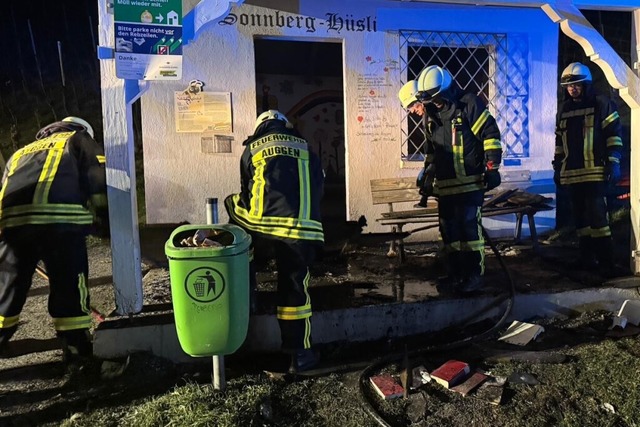 Die Feuerwehr bei ihrem Einsatz am &qu...in den Reben zwischen Auggen und Hach.  | Foto: Feuerwehr Auggen