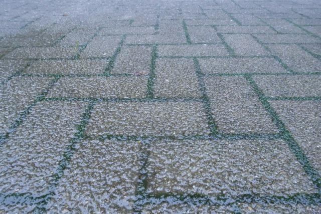Kontrastreiche Wetterlagen bestimmten im Januar das Wetter am Hochrhein