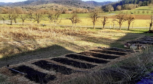 Auf diesem Grundstck beim Blailerhof ...nmal in der Woche miteinander ackern.   | Foto: Reiner Merz