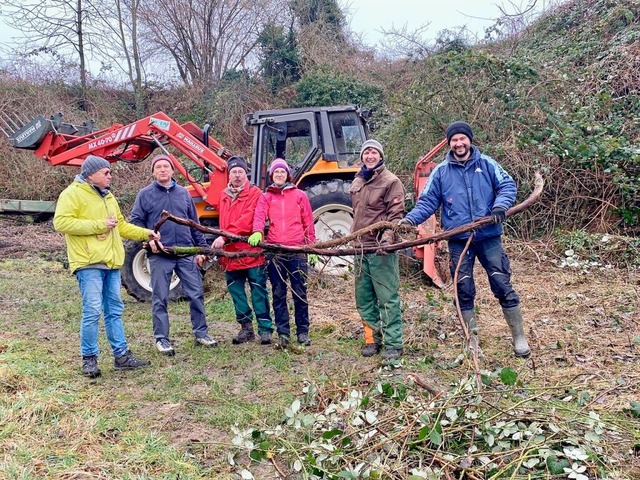 Bschungspflege in den Weinbergen bei ...langen Wurzel einer verwilderten Rebe.  | Foto: Jutta Schtz