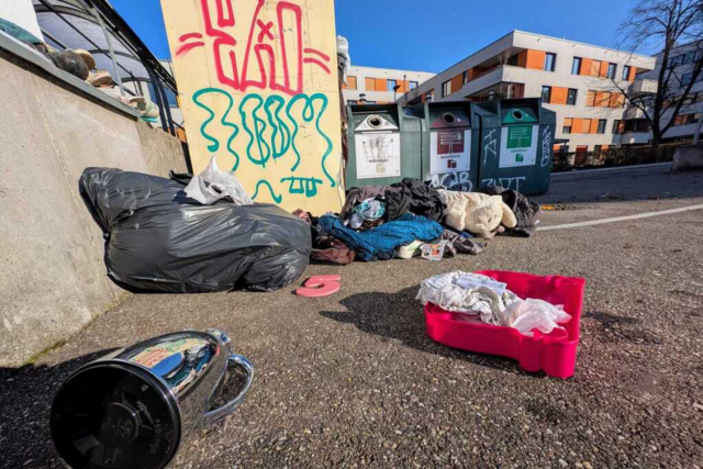 Freiburgs Abfall-Chef fordert dazu auf, Mllsnder zu verpfeifen