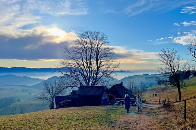 Der Blick im Schwarzwald reicht in die Ferne.  | Foto: Anna-Dorothea Witte-Rotter