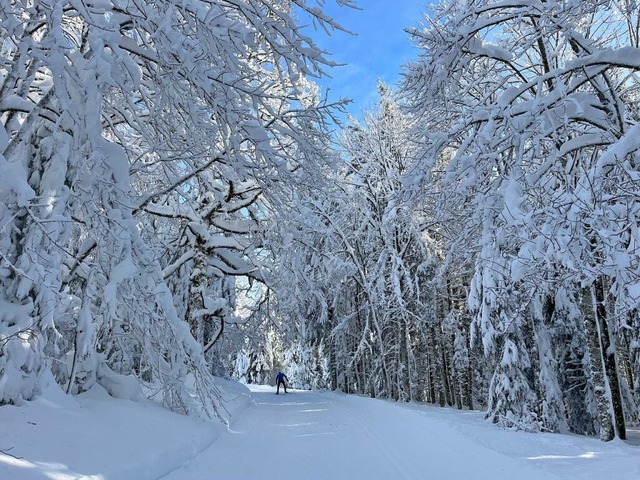 Winterlandschaft am Notschrei  | Foto: Anna-Dorothea Witte-Rotter