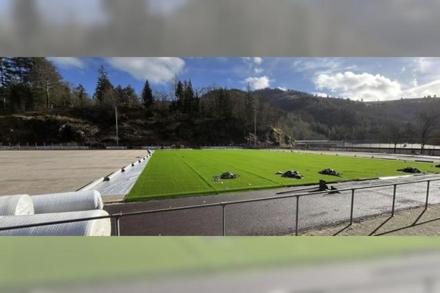 Kunstrasen im Jogi-Lw-Stadion ist ausgerollt