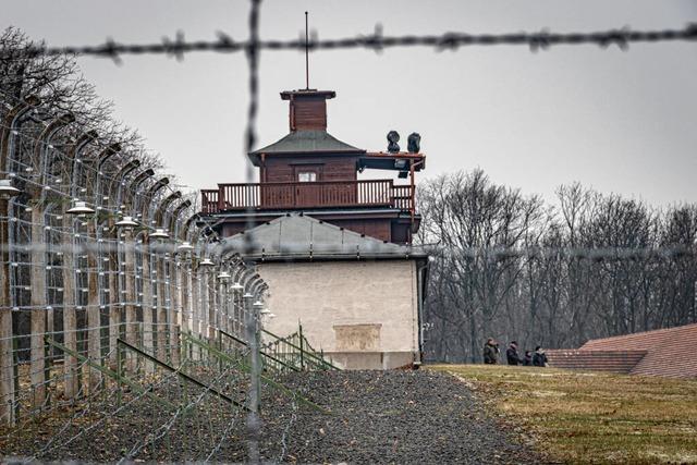 Panoramablick ber Freiburg fr einen Nazi-Arzt – Waldemar Hoven lie sich einst an der Wintererstrae nieder