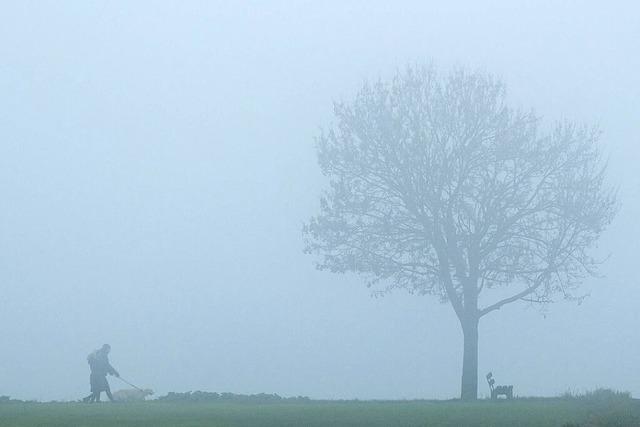 Milder Januar brachte Ettenheim reichlich Sonne und Nsse