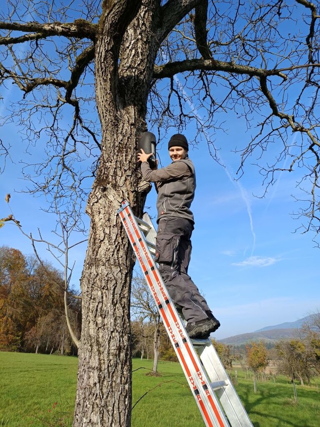 In drei Metern Hhe wwurde ein Fledermauskasten aufgehngt.  | Foto: Frderverein Dorfgemeinschaft Riedlingen