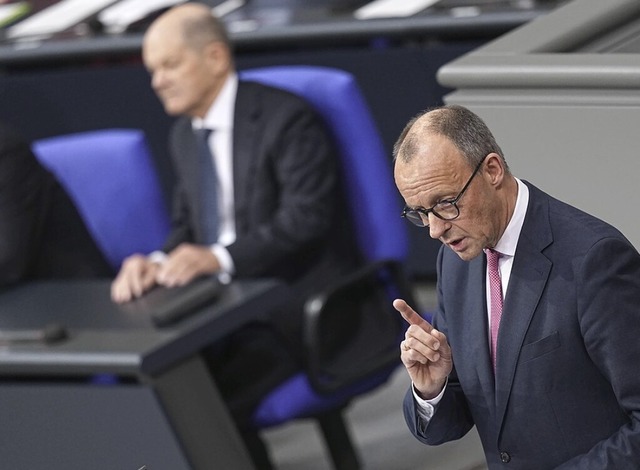 Friedrich Merz im Bundestag  | Foto: Michael Kappeler (dpa)