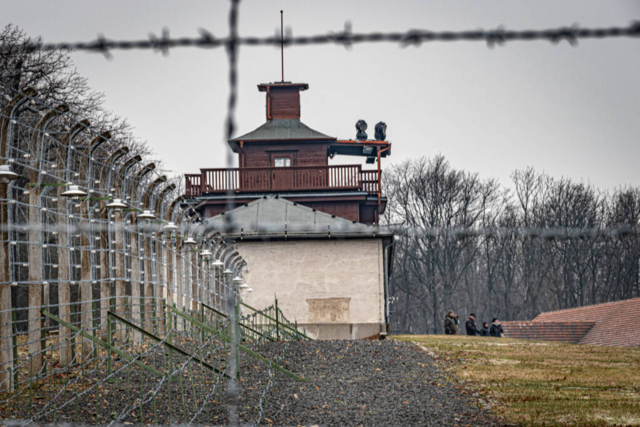 Panoramablick ber Freiburg fr einen bestechlichen und grausamen Nazi-Arzt